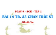 Bài 14 trang 23 Toán 9 Chân trời sáng tạo Tập 1